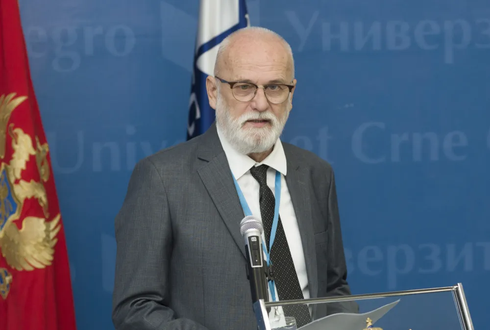 medjunarodna konferencija o dokleji